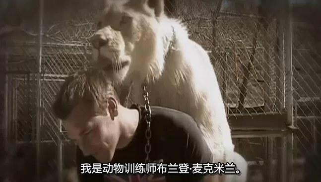 QQ截图20250118192709.jpg
