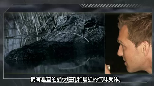 QQ截图20250118192857.jpg