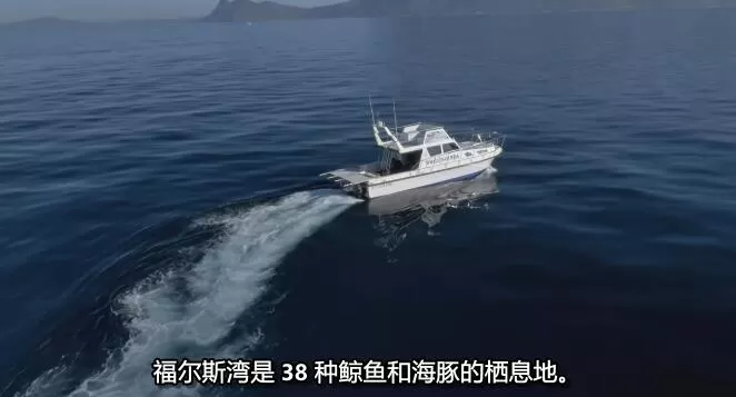 QQ截图20250118192949.jpg