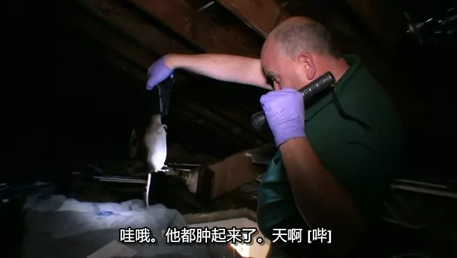 QQ截图20250118193353.jpg