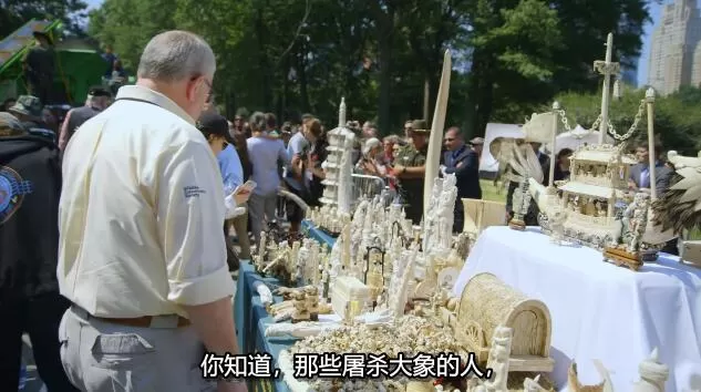 QQ截图20250119193045.jpg
