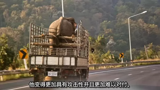 QQ截图20250119193329.jpg