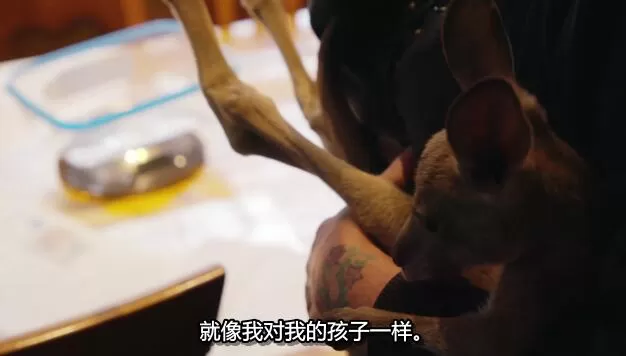 QQ截图20250119193354.jpg