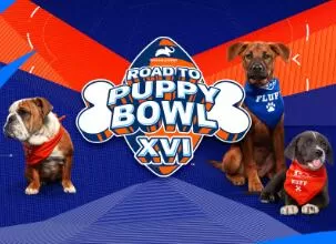 Discovery纪录片[“狗狗碗” 大赛 Road to Puppy Bowl]第一季共4集 英语中字1080P下载