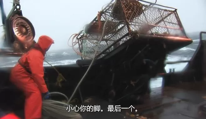QQ截图20250121212921.jpg