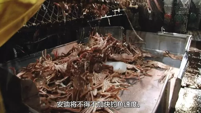 QQ截图20250122221737.jpg