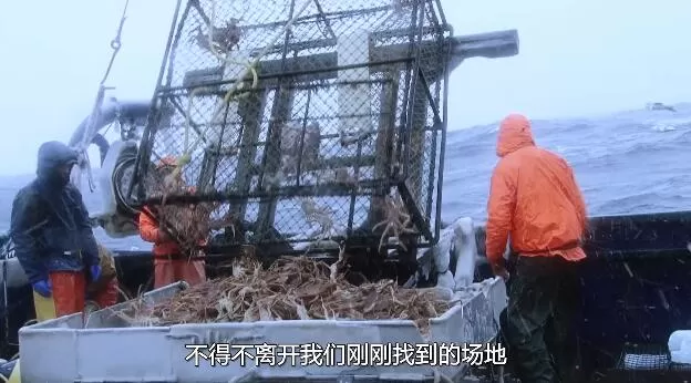 QQ截图20250124212709.jpg