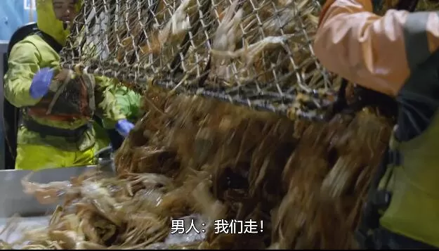 QQ截图20250124213256.jpg