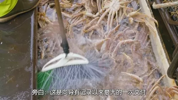 QQ截图20250124213334.jpg