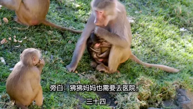 QQ截图20250206142540.jpg
