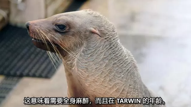 QQ截图20250206142549.jpg