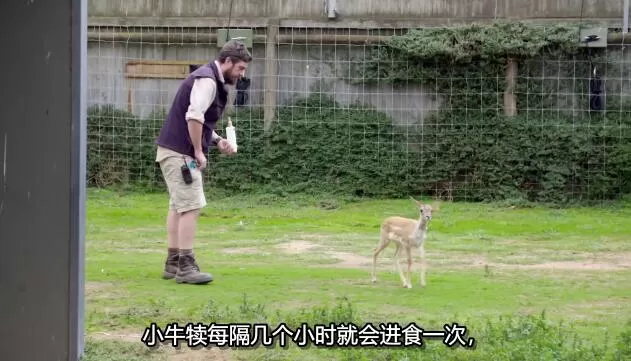 QQ截图20250206142559.jpg