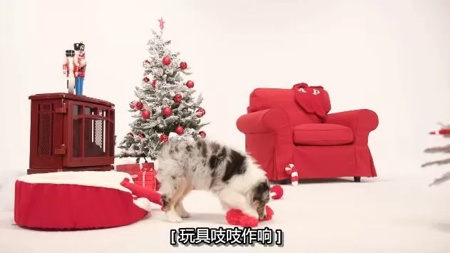 QQ截图20250207165701.jpg