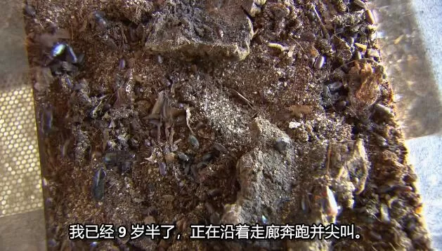 QQ截图20250209164423.jpg