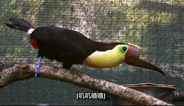 QQ截图20250209164548.jpg