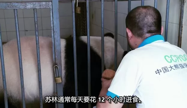 QQ截图20250209164954.jpg