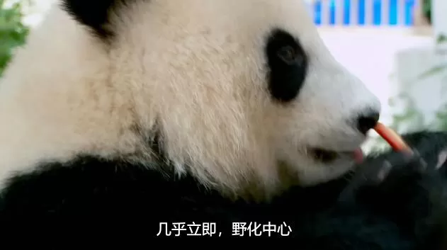 QQ截图20250209165027.jpg