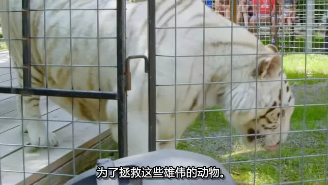 QQ截图20250214135407.jpg