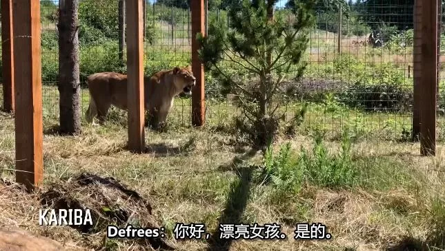 QQ截图20250214135448.jpg