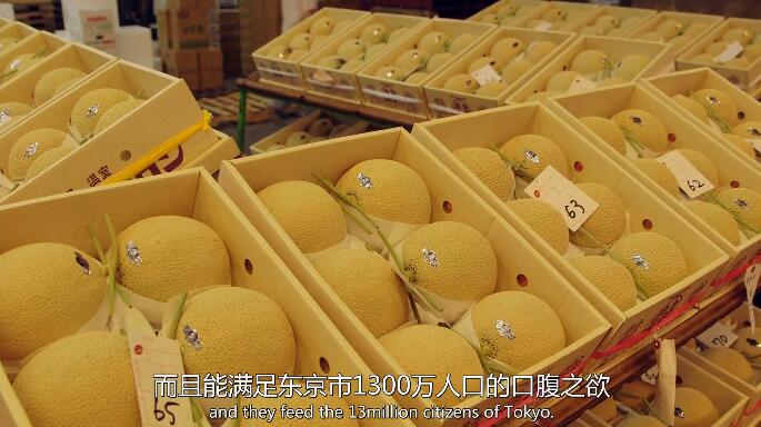 QQ截图20250430164438.jpg