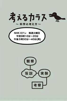 NHK纪录片[像乌鸦一样思考 Think Like a Crow]全20集 日语中字720P下载