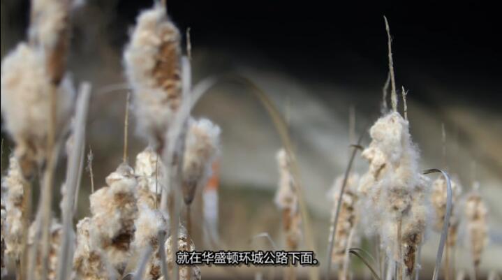 QQ截图20250512173306.jpg