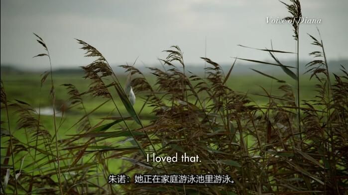 QQ截图20250516150442.jpg